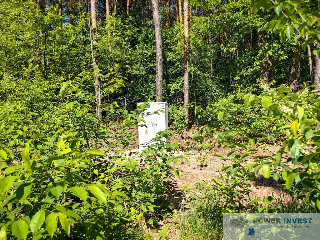 Działka budowlana na sprzedaż Ojrzanów  11 025m2 Foto 15