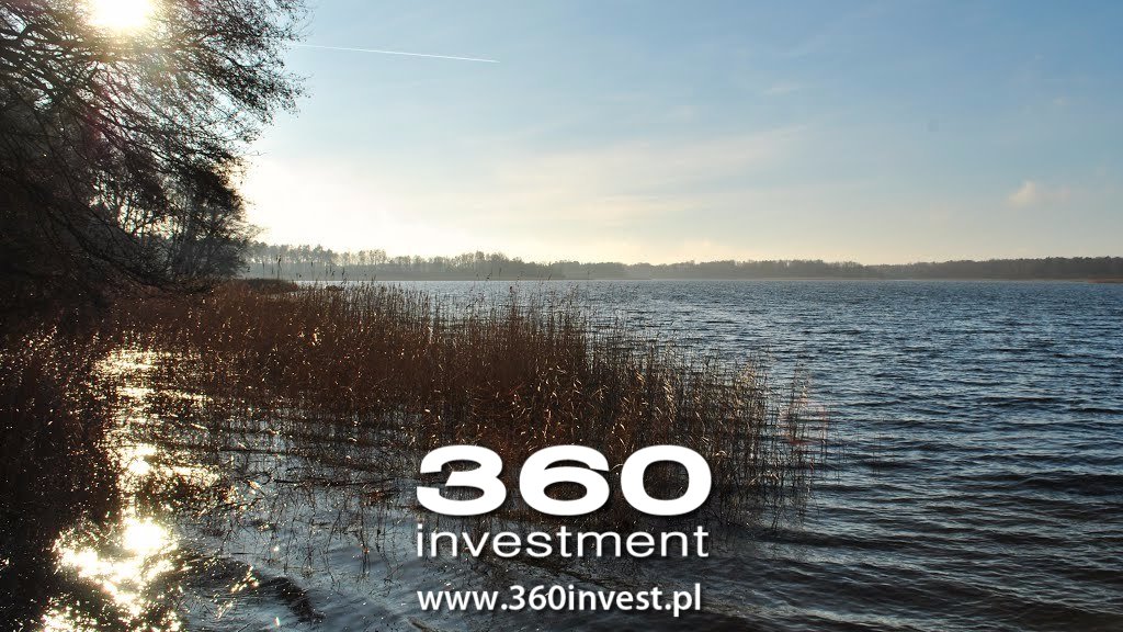 Działka budowlana na sprzedaż Wełtyń, Wirowska  1 000m2 Foto 2