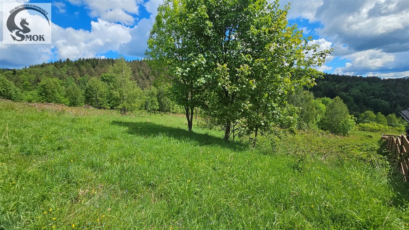 Działka budowlana na sprzedaż Jaworskie  3 250m2 Foto 8