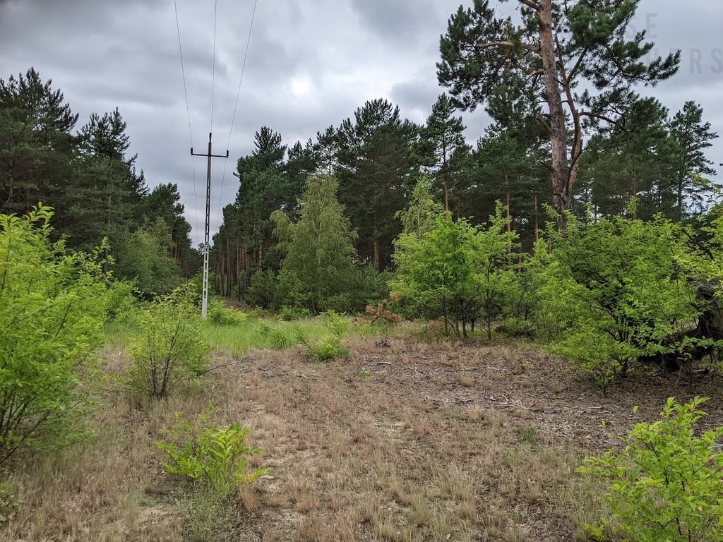 Działka budowlana na sprzedaż Chełsty  1 000m2 Foto 3