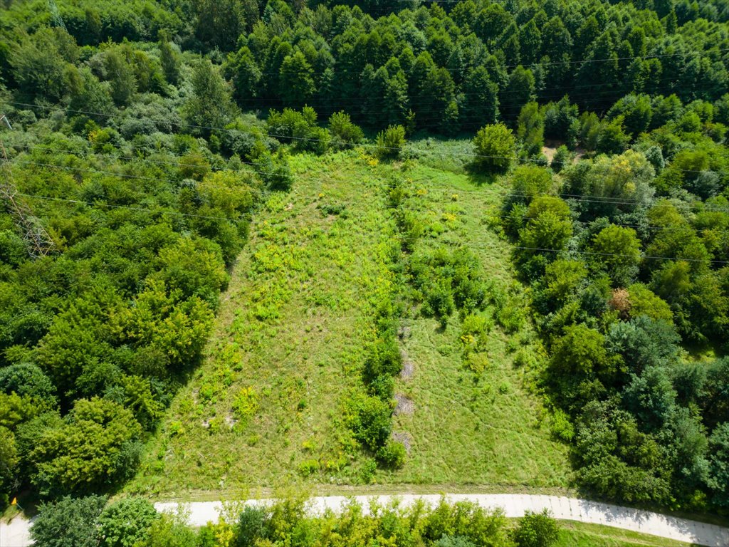 Działka rolna na sprzedaż Ostrowiec Świętokrzyski, Wschodnia  2 945m2 Foto 3