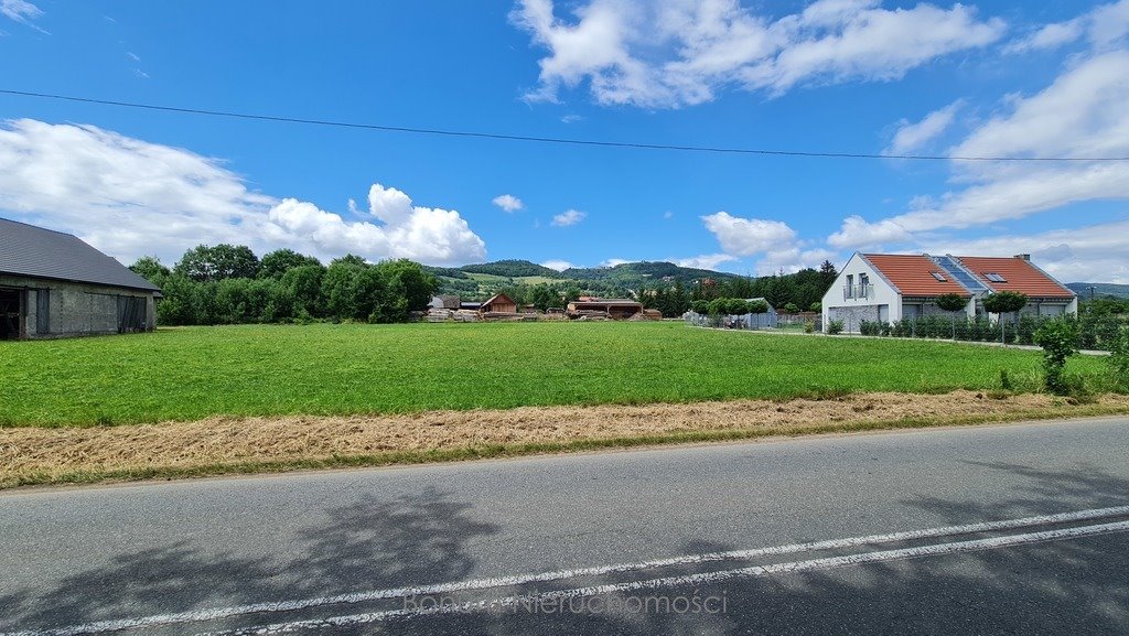 Działka budowlana na sprzedaż Budzów  2 400m2 Foto 4