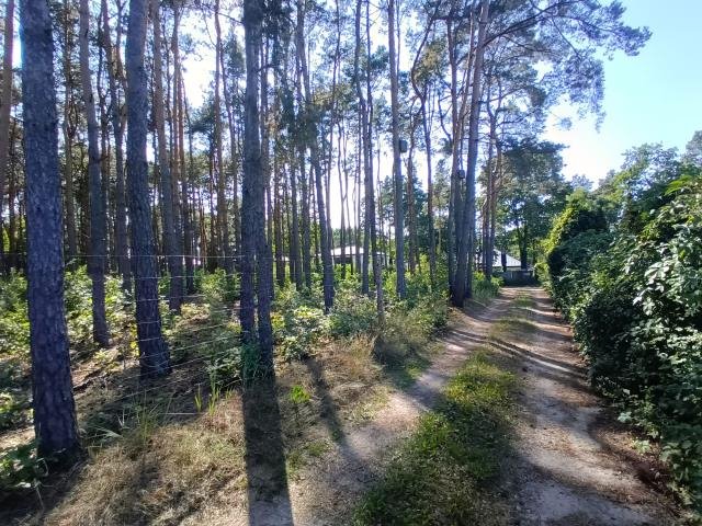 Działka leśna na sprzedaż Legionowo  1 500m2 Foto 2