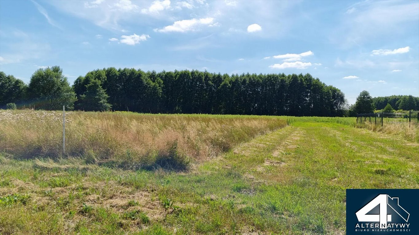 Działka gospodarstwo rolne na sprzedaż Chociszew, 40  7 128m2 Foto 1