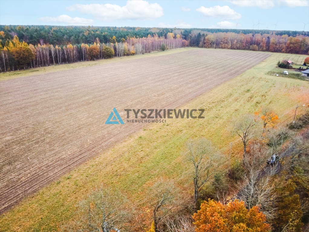 Działka siedliskowa na sprzedaż Szczenurze  3 428m2 Foto 4