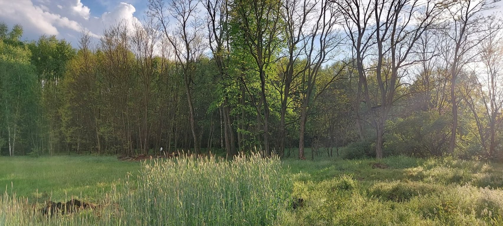 Działka inna na sprzedaż Dobra  2 375m2 Foto 3