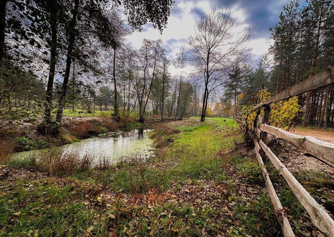 Działka budowlana na sprzedaż Niwy Ostrołęckie  2 385m2 Foto 7