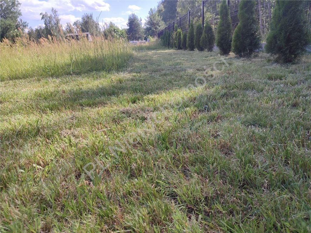 Działka budowlana na sprzedaż Rozalin  1 500m2 Foto 3