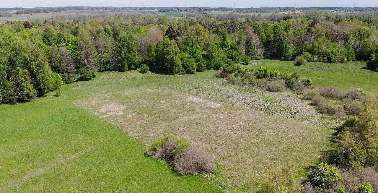 Działka budowlana na sprzedaż Dźwierzuty  5 600m2 Foto 10