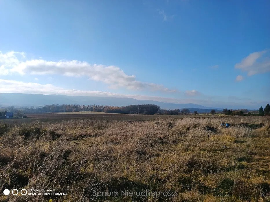 Działka budowlana na sprzedaż Mielnik  3 000m2 Foto 1