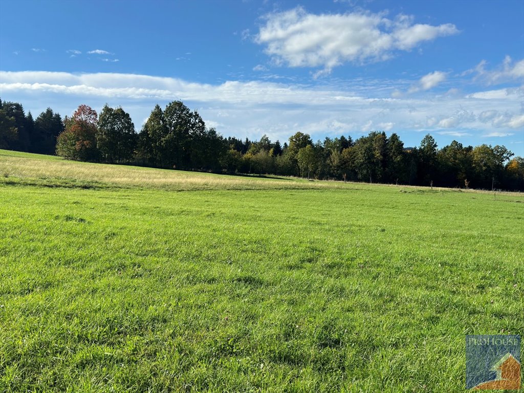 Działka budowlana na sprzedaż Męcina  6 600m2 Foto 1