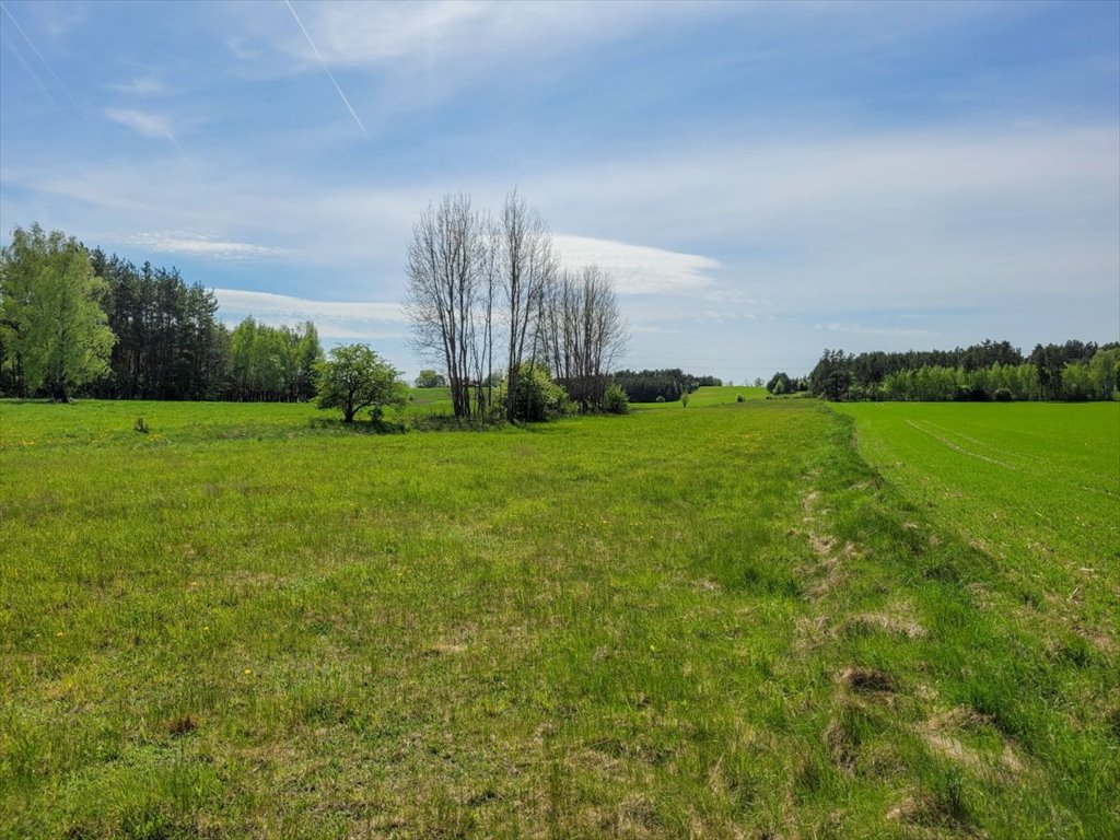 Działka budowlana na sprzedaż Osowa  18 700m2 Foto 4