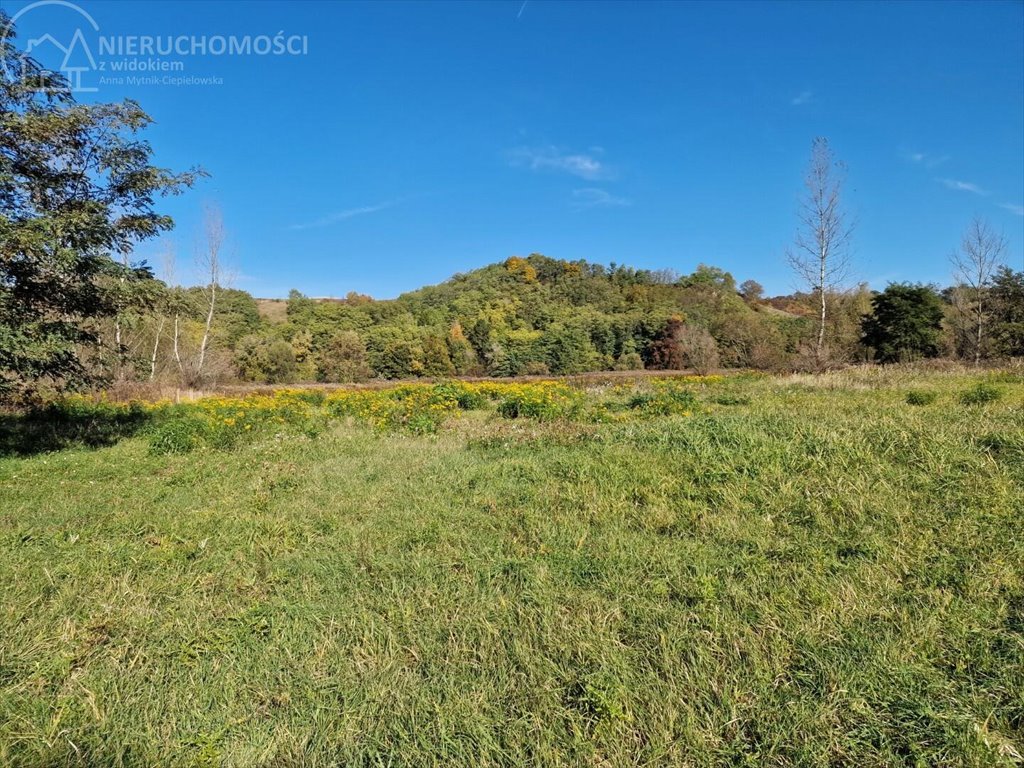 Działka rolna na sprzedaż Dąbrówka Morska  9 500m2 Foto 13