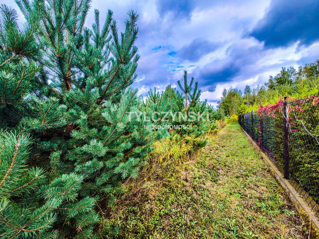 Działka budowlana na sprzedaż Rozalin  1 500m2 Foto 9