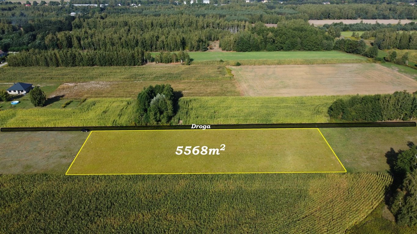 Działka rolna na sprzedaż Feliksów  5 568m2 Foto 2