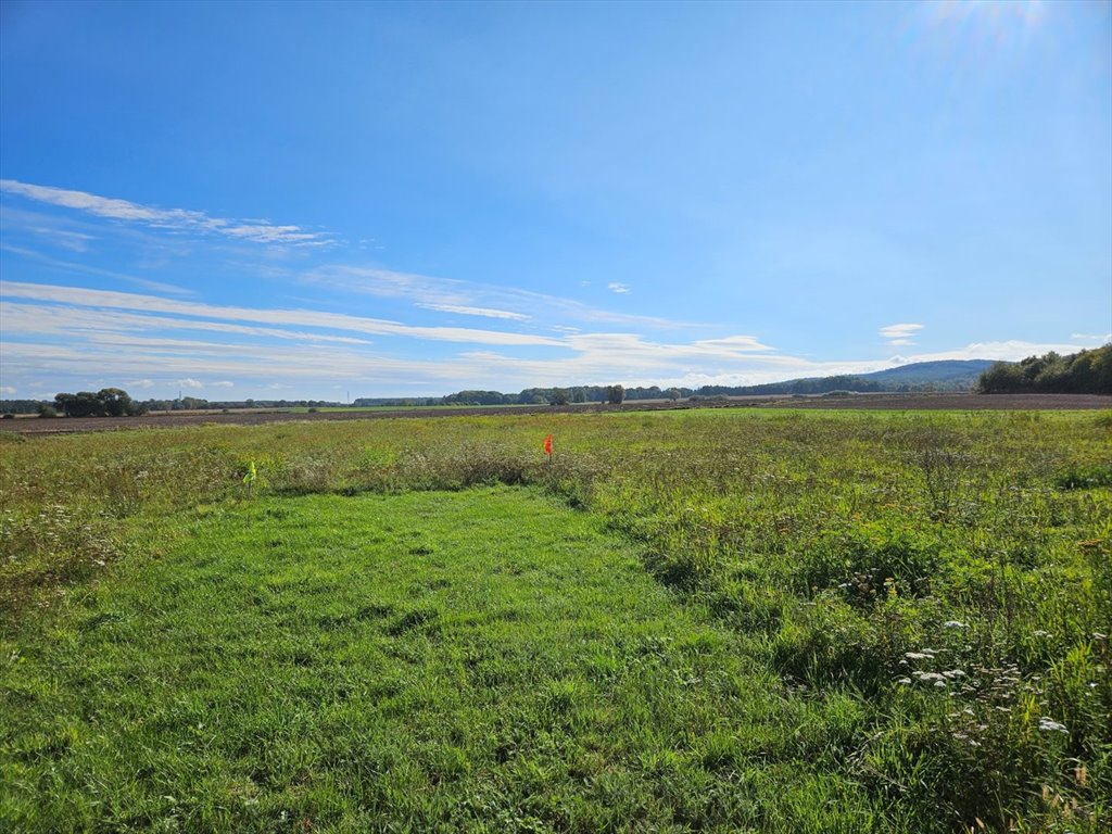 Działka inna na sprzedaż Szymanów  1 230m2 Foto 2