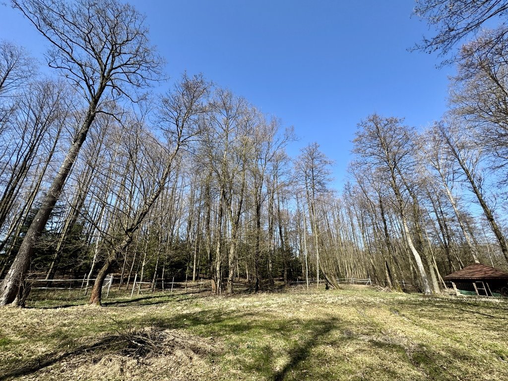 Działka 76 arów z WZ, strumyk, altana i media Strażów  7 600m2 Foto 1