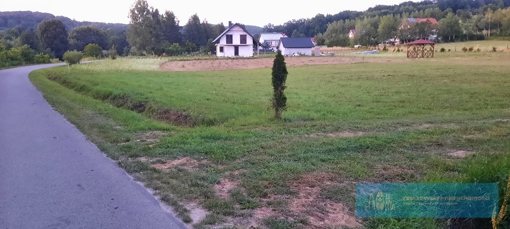 Działka budowlana na sprzedaż Gogołów  1 450m2 Foto 5