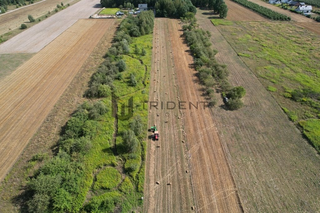 Działka budowlana na sprzedaż Wojciechowice  7 425m2 Foto 15