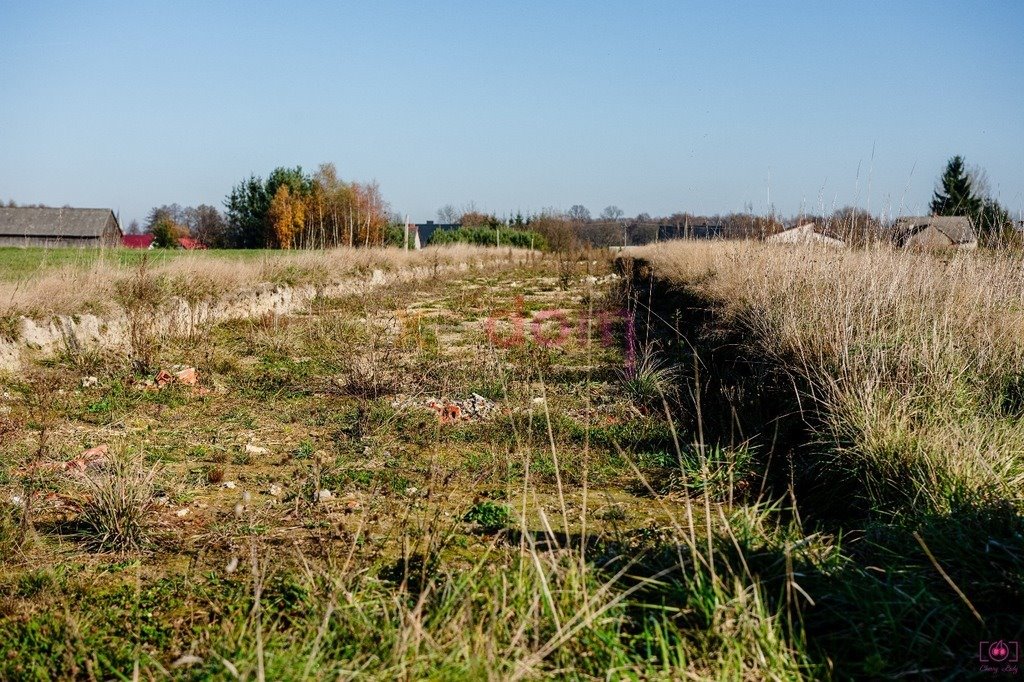 Działka inna na sprzedaż Moskorzew  8 513m2 Foto 13