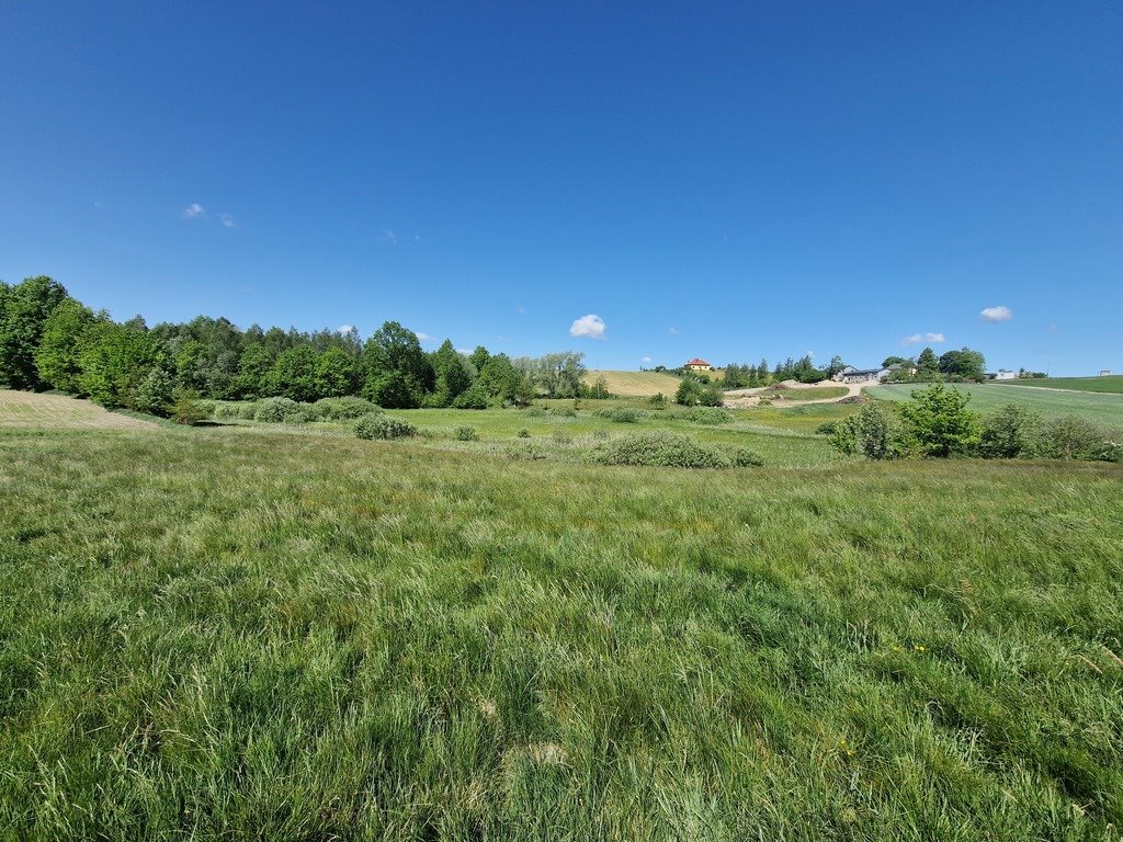 Działka budowlana na sprzedaż Szarłata, Spadzista  15 977m2 Foto 14