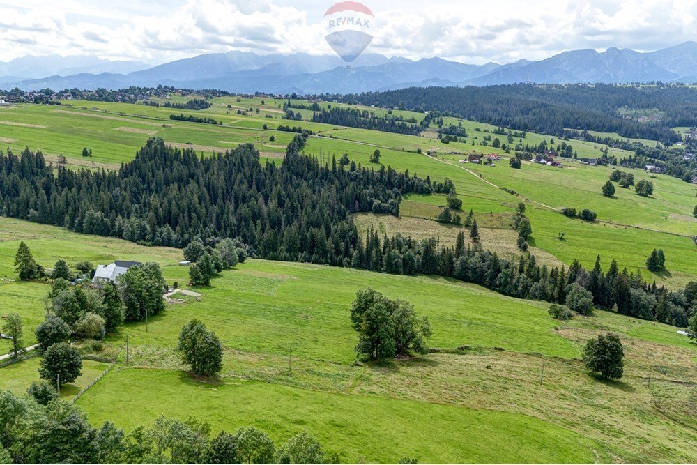 Działka budowlana na sprzedaż Nowe Bystre  4 442m2 Foto 8