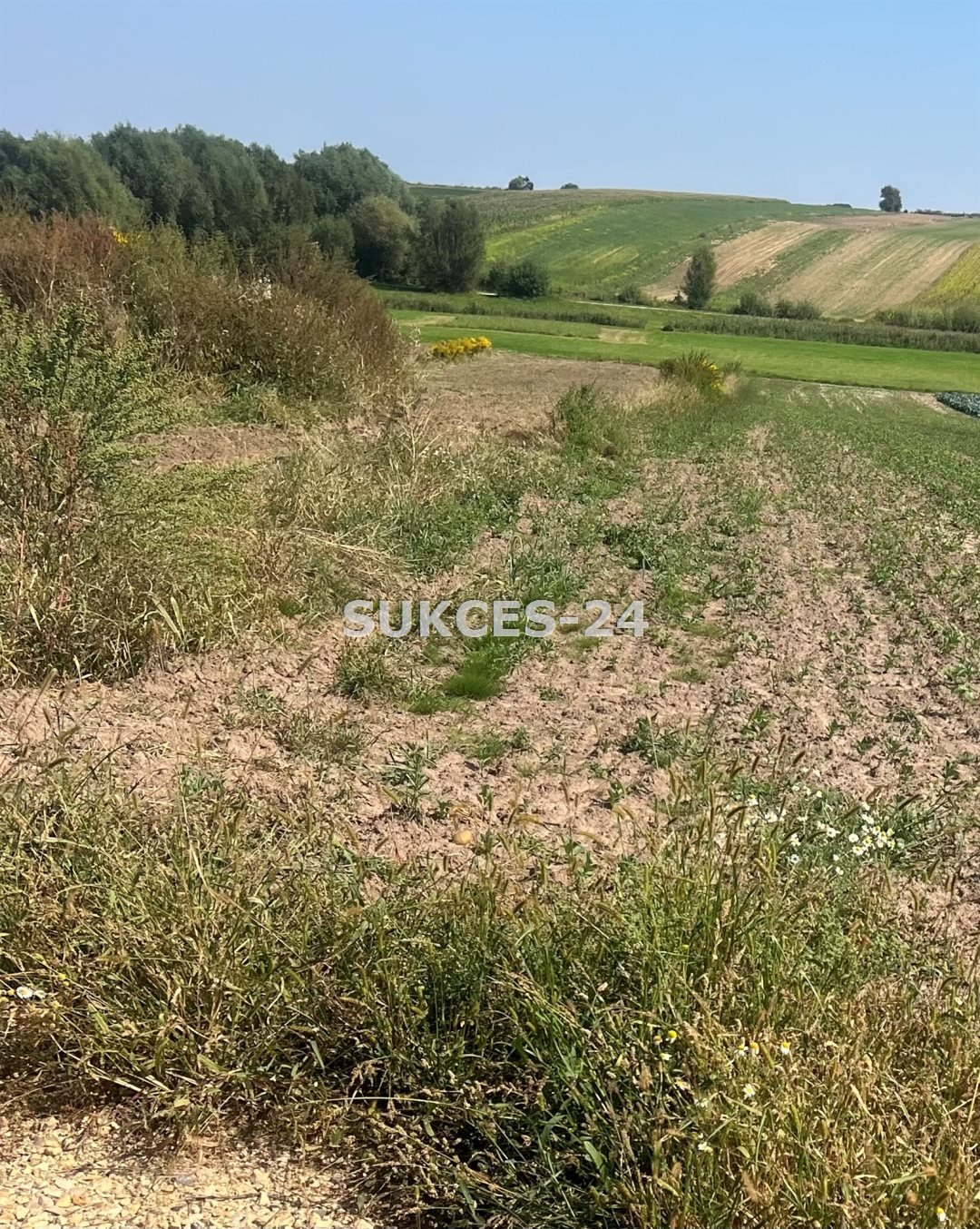 Działka inna na sprzedaż Goszyce, Na Błonie  7 000m2 Foto 1