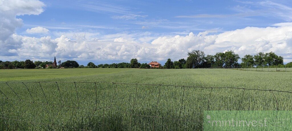 Zdjęcie 8