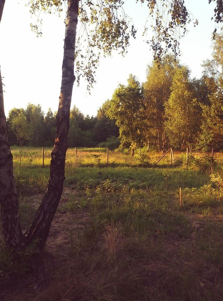 Działka rolna z możliwością zabudowy - cisza las 2700 m² Celinów  2 700m2 Foto 1