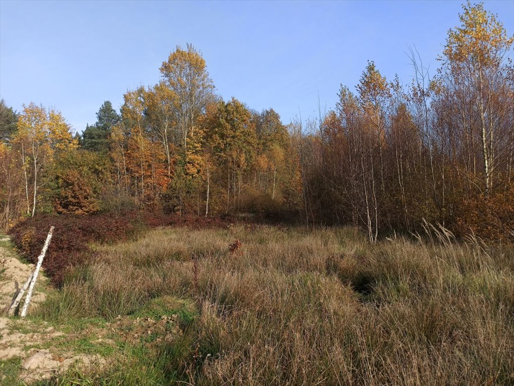 Działka budowlana na sprzedaż Leśniewo, Pucka  4 665m2 Foto 4