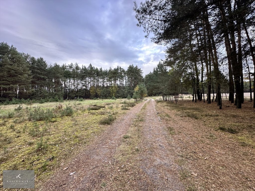 Działka 7,89 ha z lasem i widokami na sprzedaż Zmyślona Ligocka  78 900m2 Foto 1