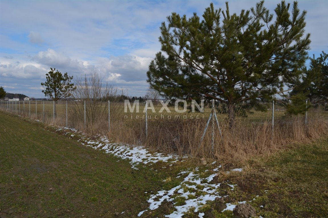 Działka siedliskowa na sprzedaż Ruchna  6 000m2 Foto 12