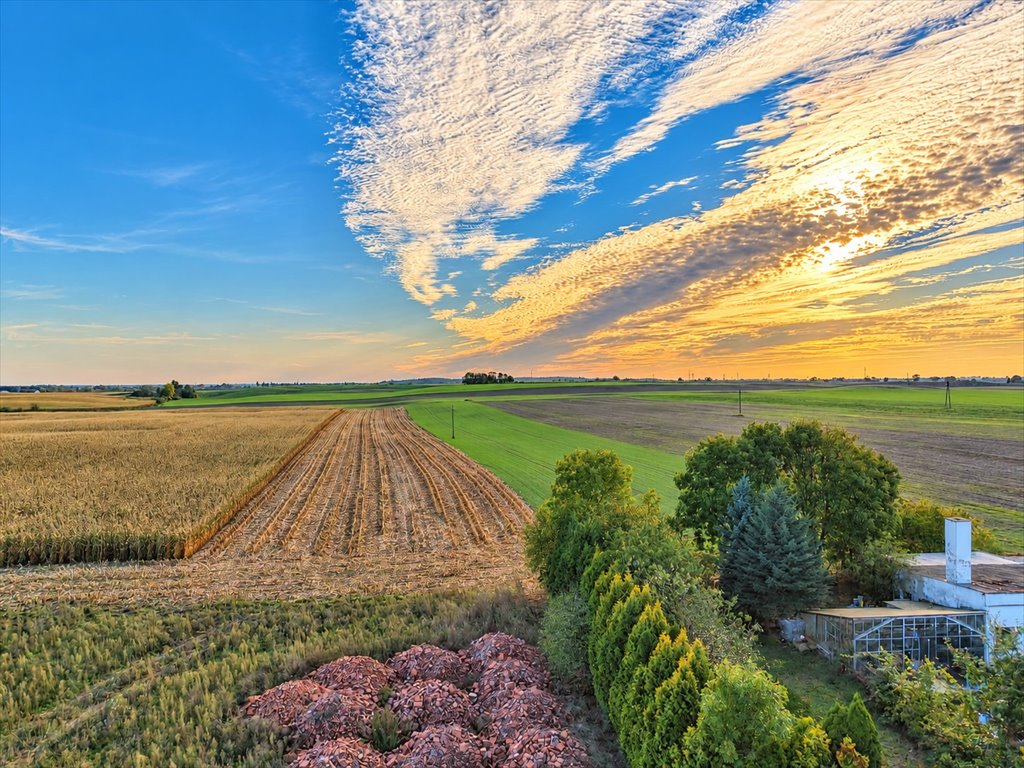 Działka 2500 m² z WZ - Buszkowo gm. Koronowo Buszkowo  2 500m2 Foto 1