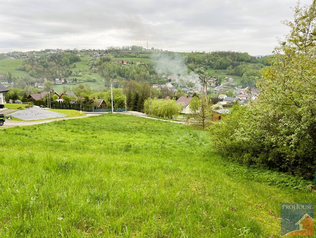 Działka budowlana na sprzedaż Limanowa  3 330m2 Foto 2