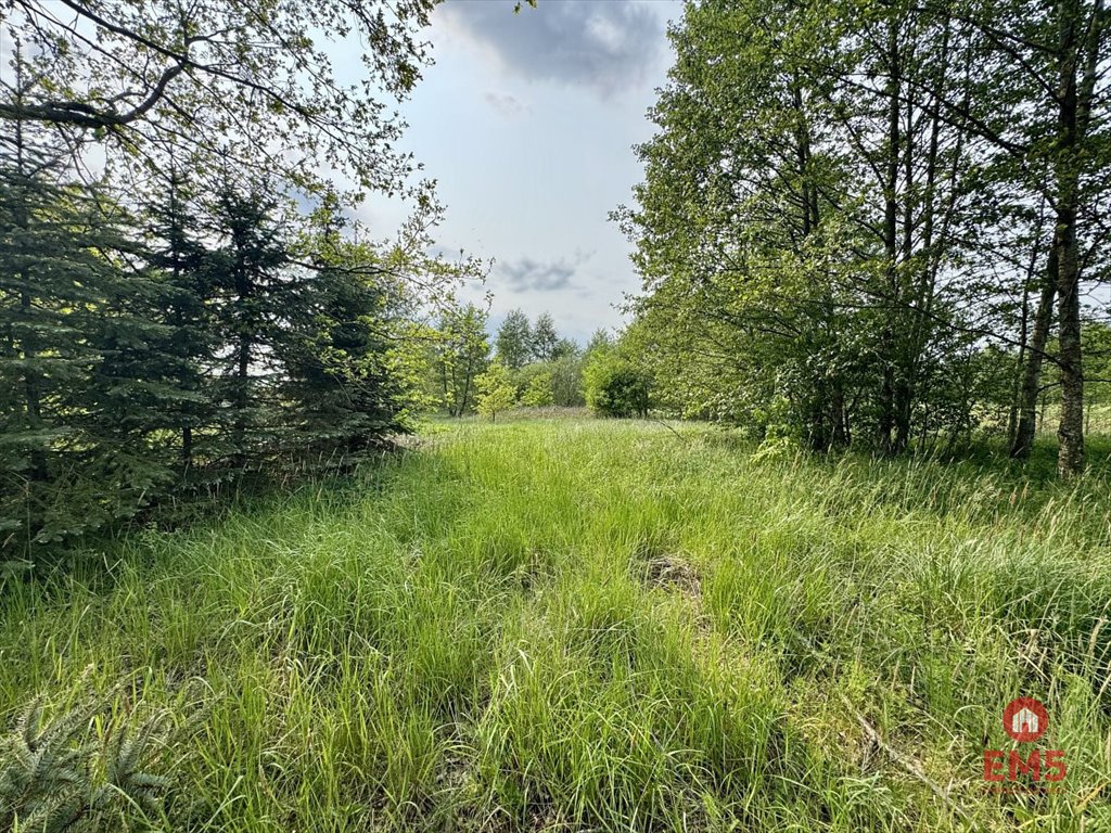 Działka 2900 m2 z dostępem do prądu i wody Kosmaty Borek  2 900m2 Foto 1