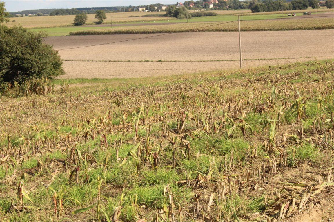 Działka budowlana na sprzedaż Sława  1 000m2 Foto 12