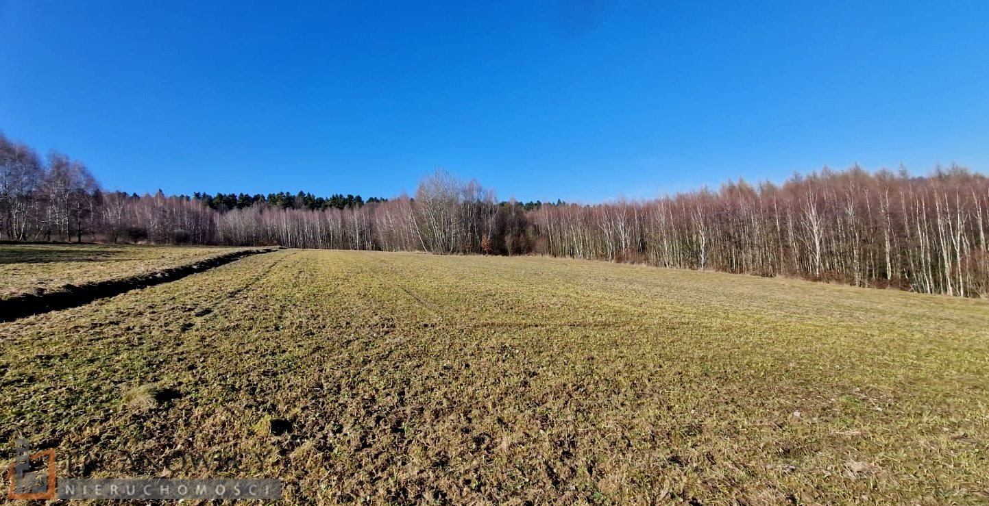 Działka rolna 45,9 ara przy Ojcowskim Parku Narodowym Biały Kościół  4 590m2 Foto 1