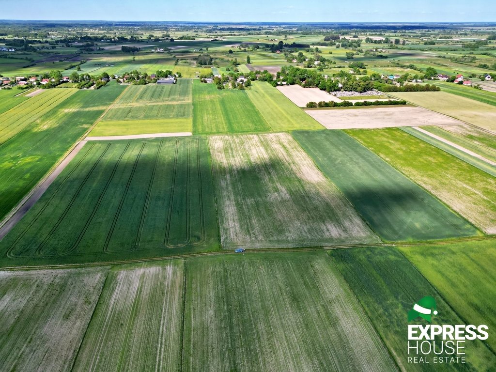 Działka rolna na sprzedaż Świerszczów  21 900m2 Foto 3