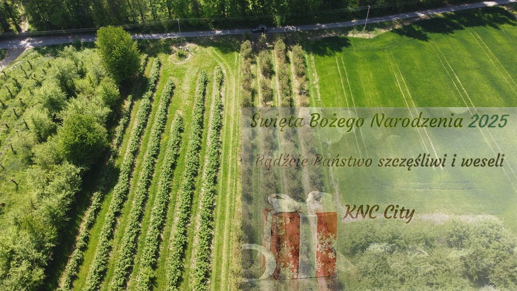 Działka inna na sprzedaż Kamień-Kolonia  8 700m2 Foto 1