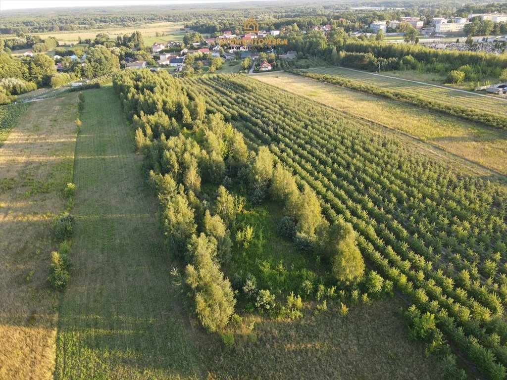 Działka inna na sprzedaż Nowe Miasto nad Pilicą, Pobiedna  9 806m2 Foto 7