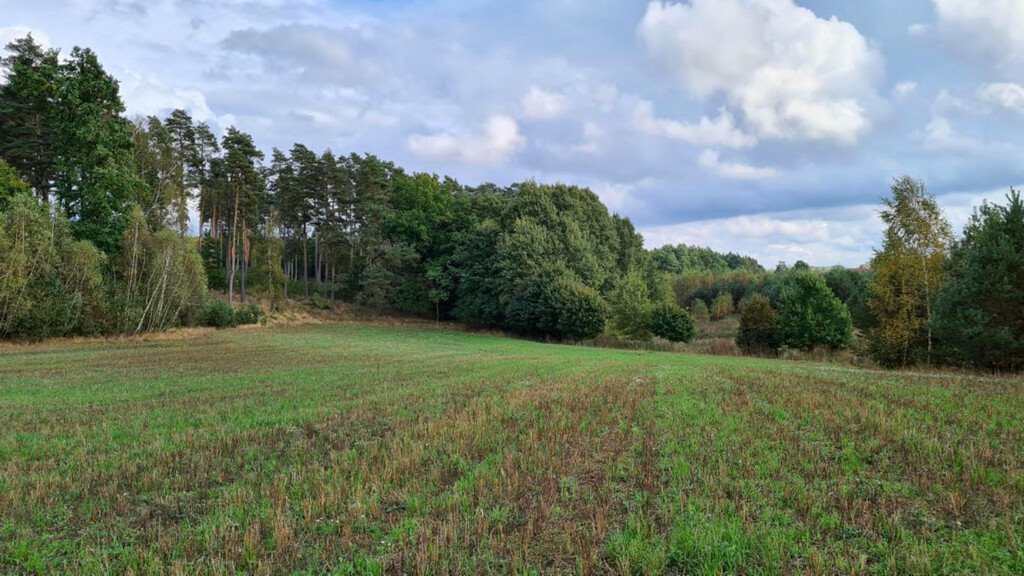 Działka budowlana na sprzedaż Stary Wiec  1 044m2 Foto 1