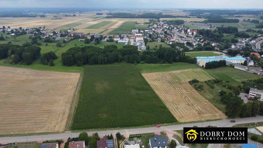 Działka rolna na sprzedaż Trzcianne  38 210m2 Foto 3