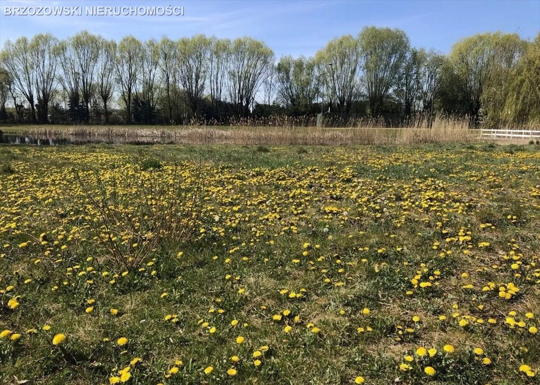 Działka budowlana na sprzedaż Warszawa, Wilanów  2 900m2 Foto 3