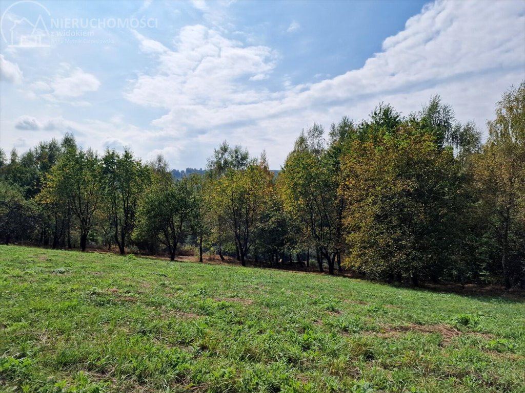 Działka budowlana na sprzedaż Tuchów  4 632m2 Foto 3