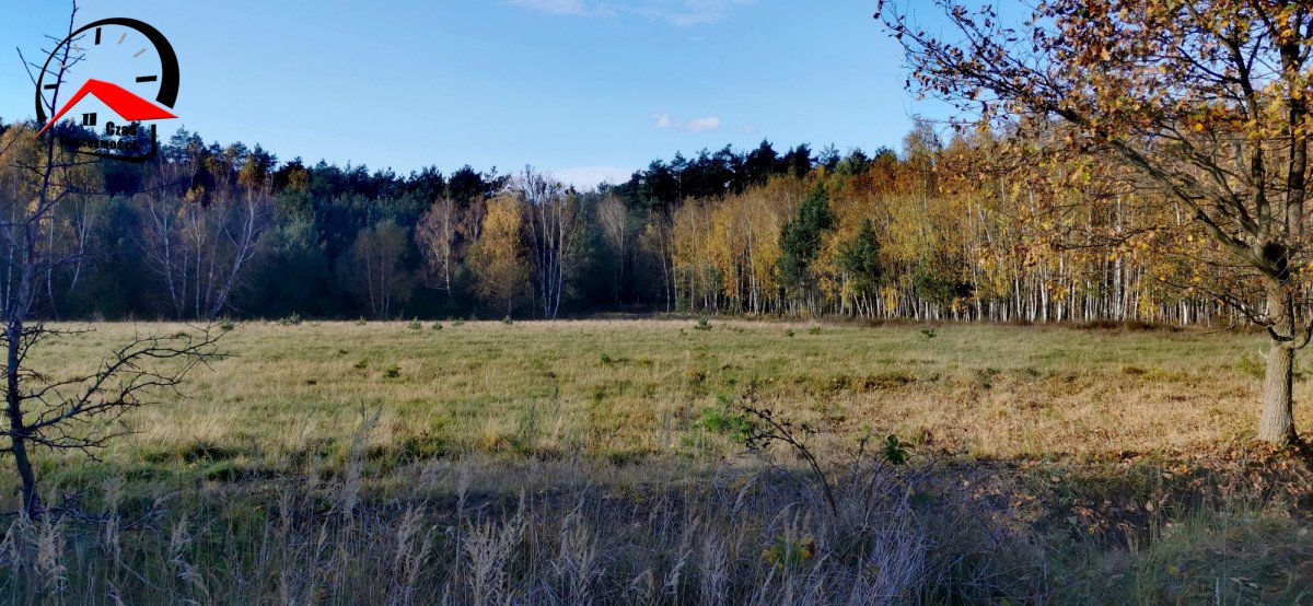 Działka gospodarstwo rolne na sprzedaż Gołąbki  138 960m2 Foto 9