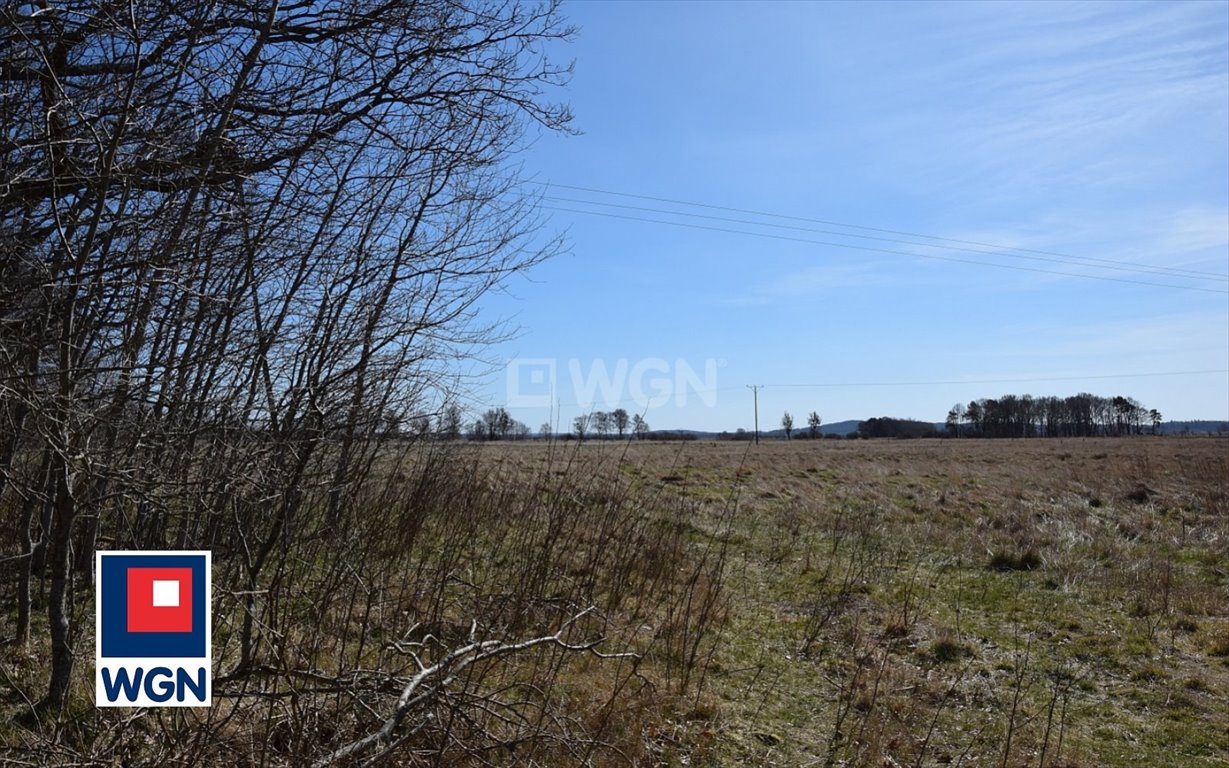 Działka budowlana na sprzedaż Smołdziński Las, Smołdziński Las  1 765m2 Foto 8