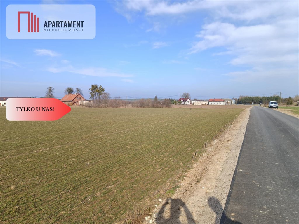 Działka budowlana na sprzedaż Osetno  11 800m2 Foto 8