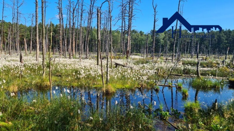 Działka budowlana na sprzedaż Baniocha, Skrajna  2 500m2 Foto 2