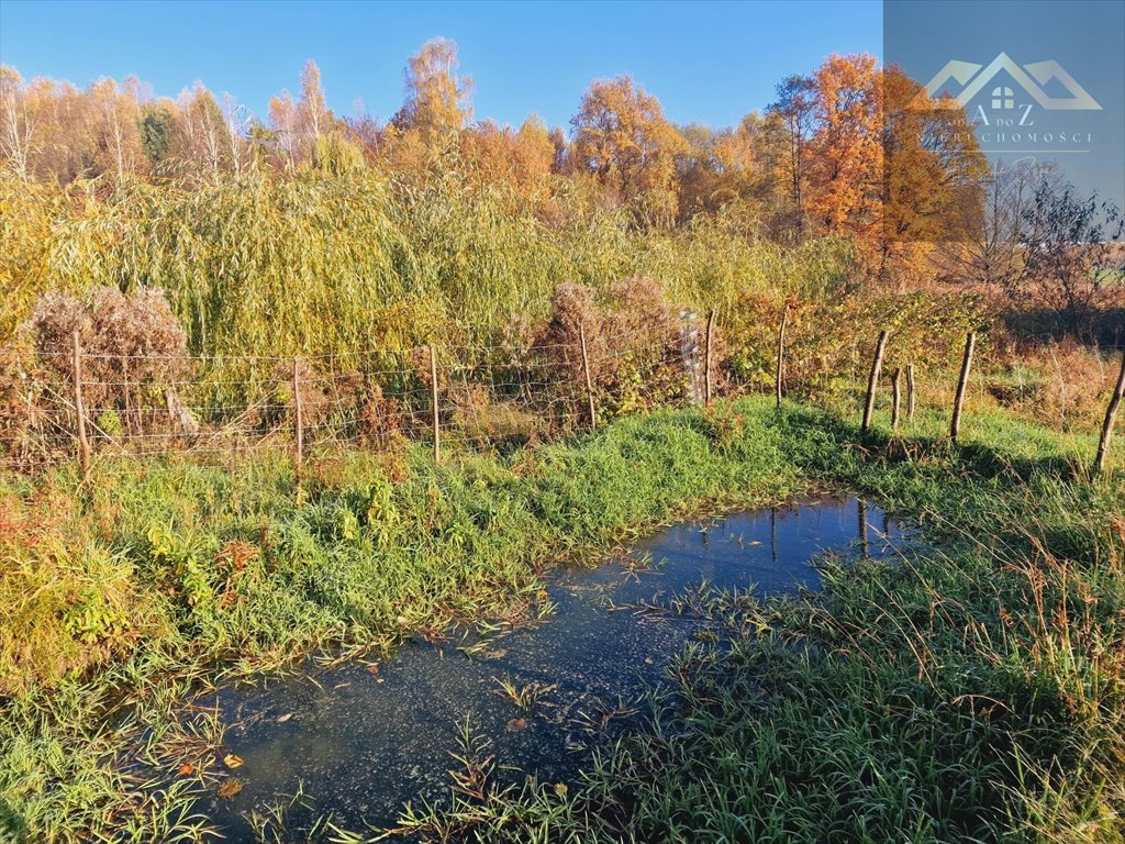 Działka budowlana na sprzedaż Pilzno  800m2 Foto 5