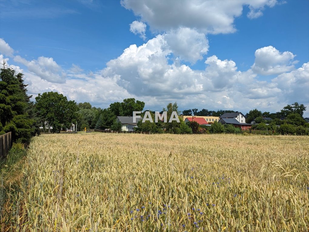 Działka budowlana na sprzedaż Dobrzyń nad Wisłą, Chalin  1 450m2 Foto 1